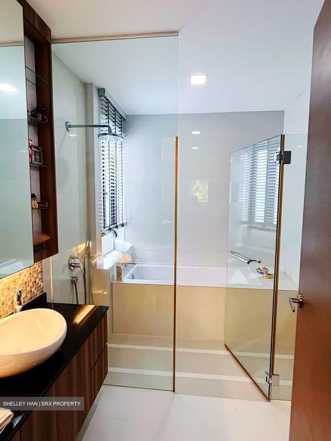 Clementi Park (D21), Semi-Detached #584139241